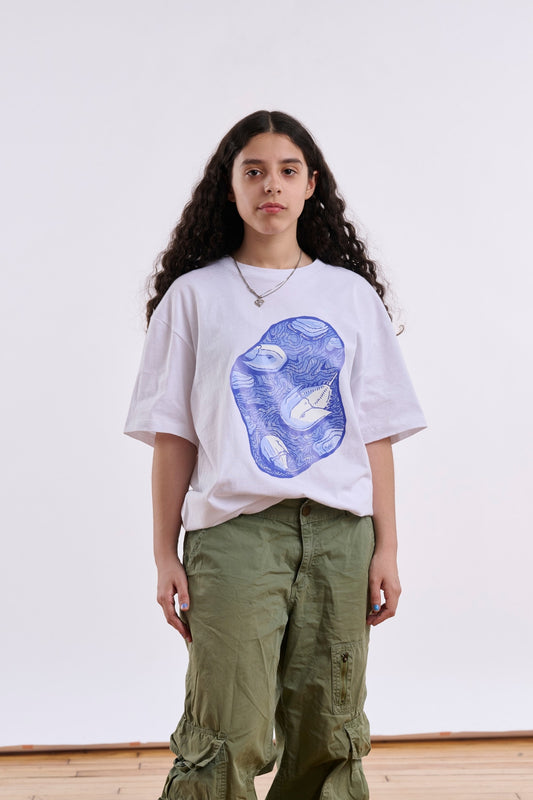 Lessons from Dinosaurs