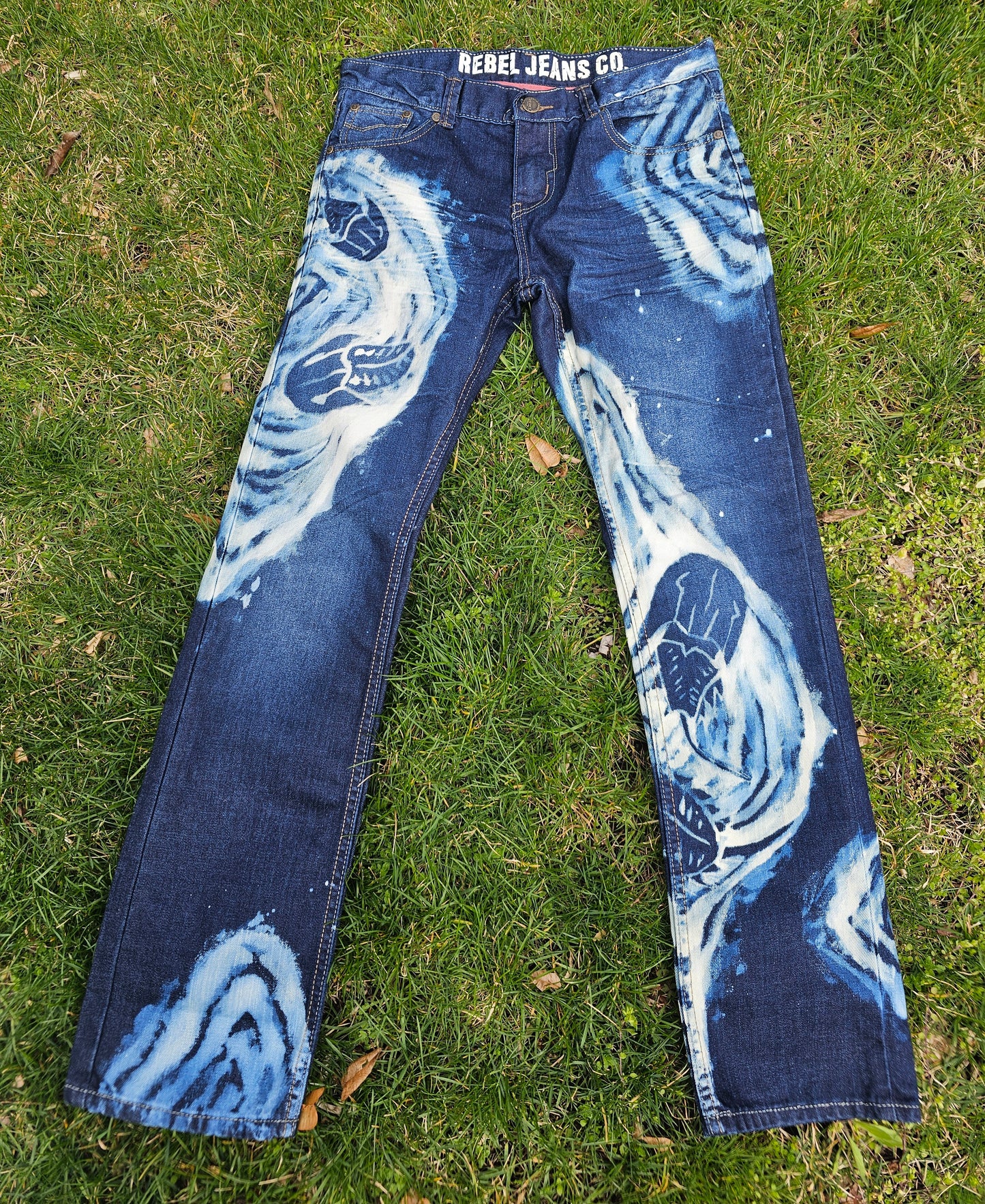 Lessens from Dinosaurs Men's Denim