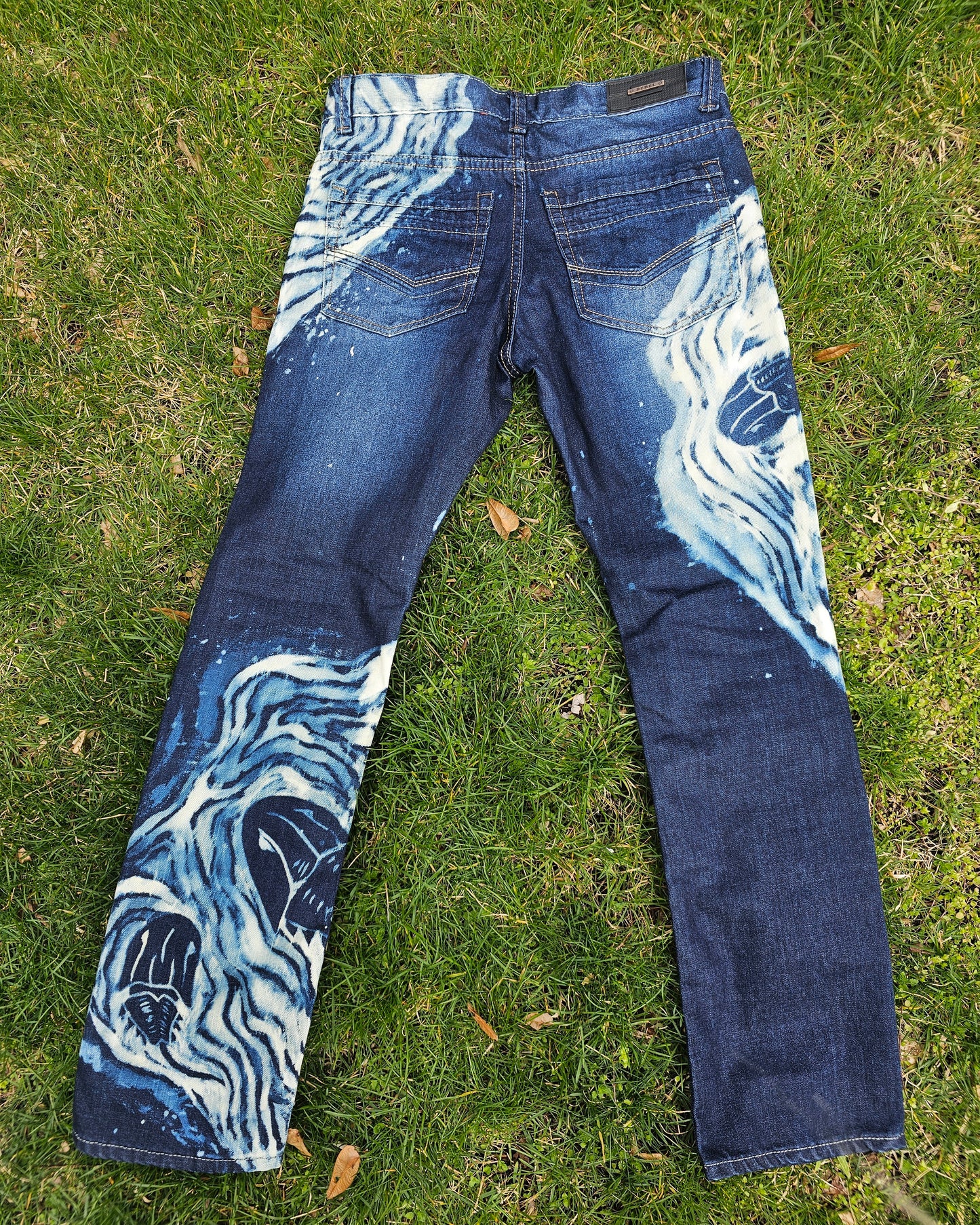 Lessens from Dinosaurs Men's Denim